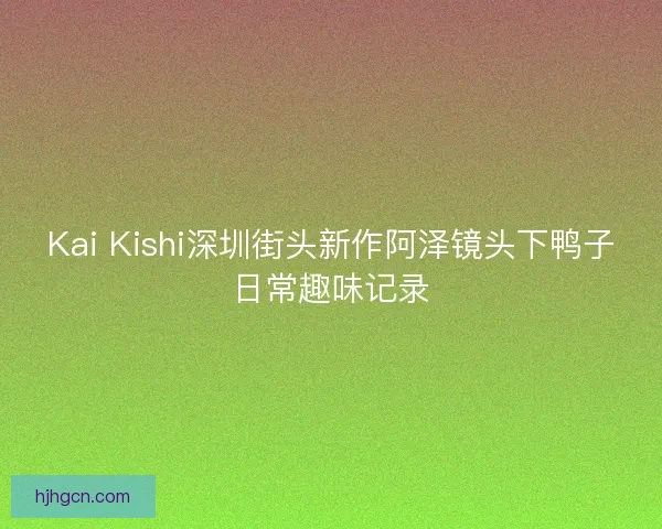 Kai Kishi深圳街头新作阿泽镜头下鸭子日常趣味记录