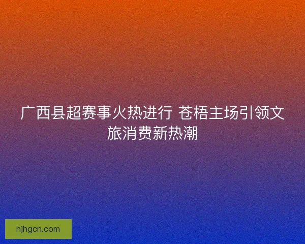 广西县超赛事火热进行 苍梧主场引领文旅消费新热潮